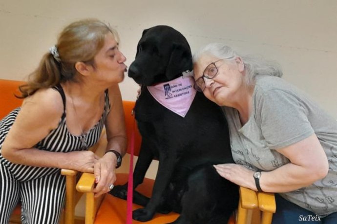 Os nossos dias correm muito melhor quando recebemos a visita da Escola de Cães-guia para Cegos.